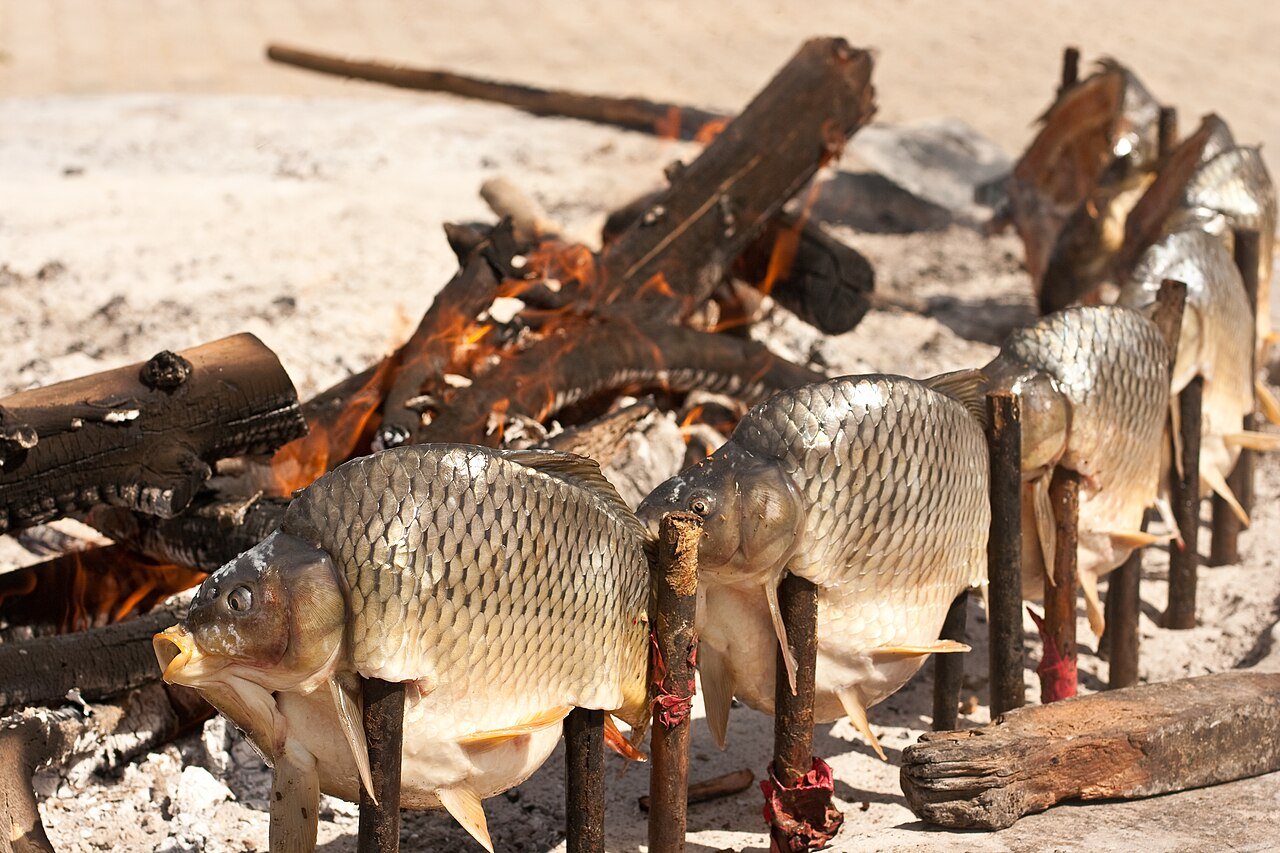 River carp grilling over an open fire on the traditional masgouf fire altar — Iraq's national dish in the making