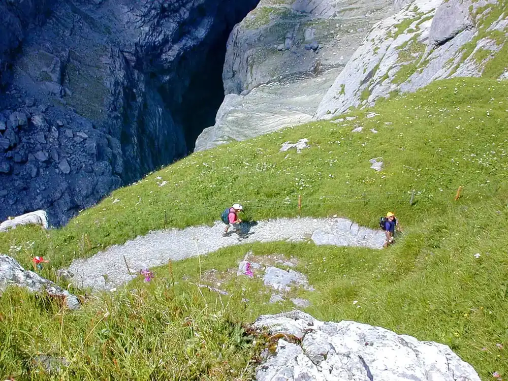 Hikers follow a mountain path through green slopes above Grindelwald.