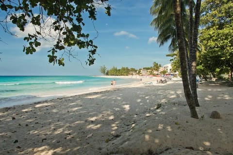 Palms shade the sand beside turquoise water at Dover Beach.
